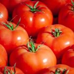 WhatsApp Image 2025-04-20 at 9.26.41 PM (1)