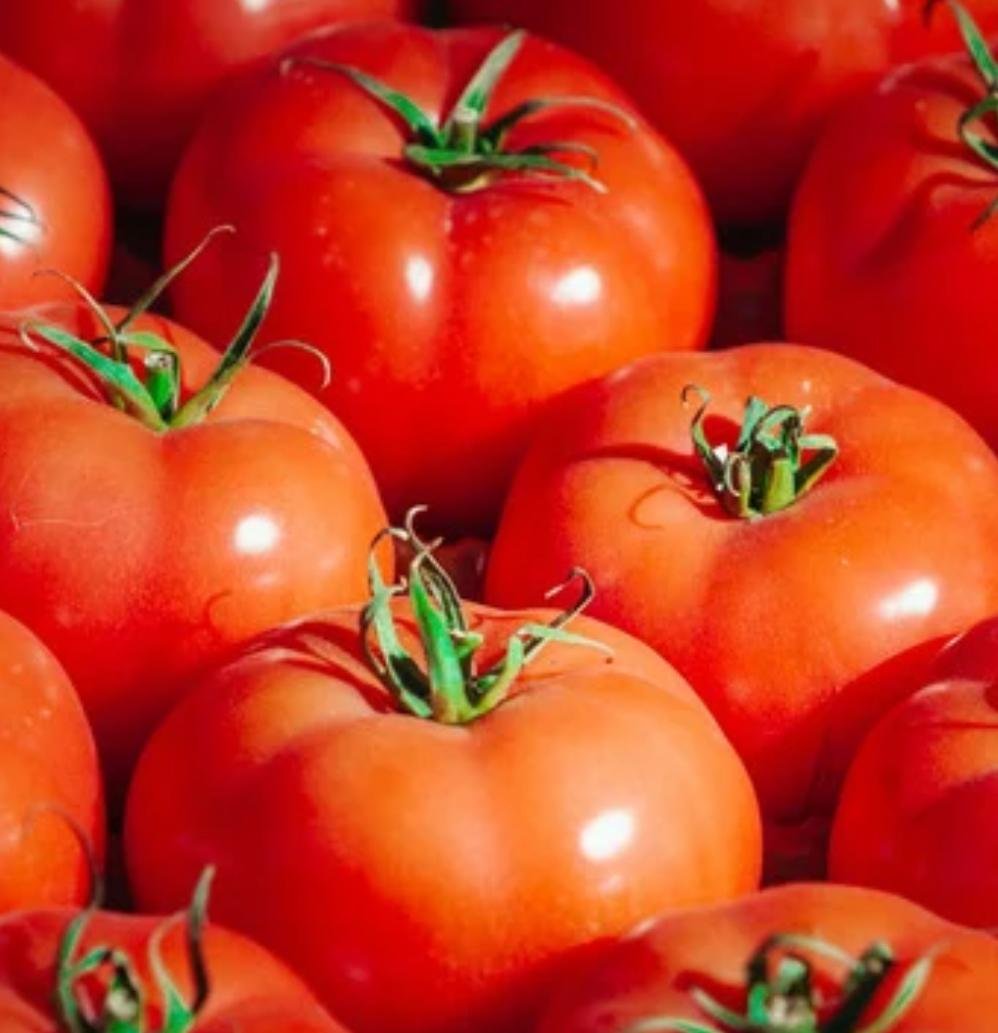 WhatsApp Image 2025-04-20 at 9.26.41 PM (1)