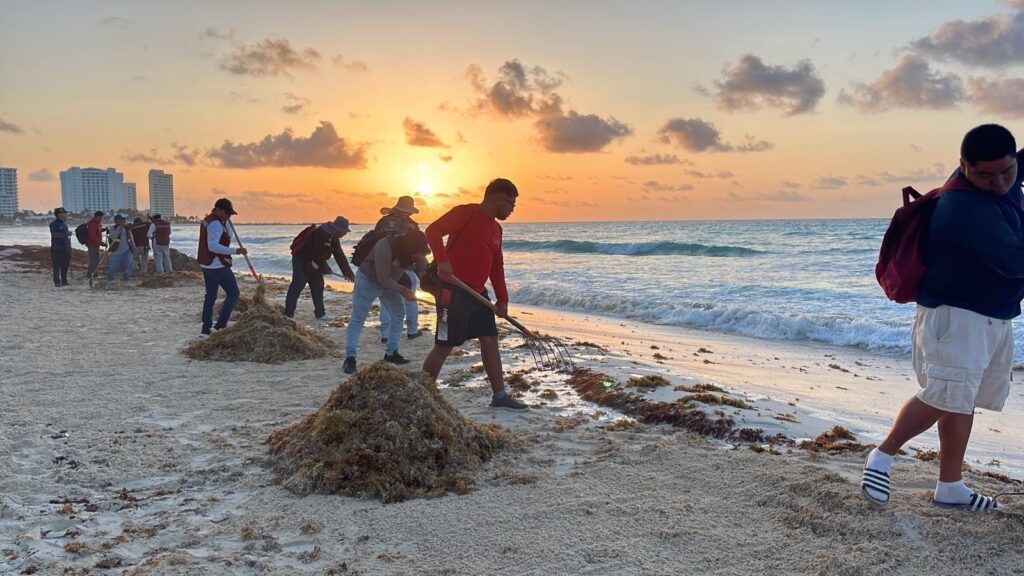 Playas de Cancún limpias y libres de sargazo