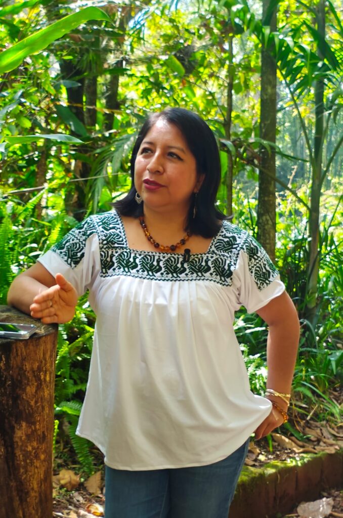 Rosalba Hernández será la próxima presidenta del Tribunal Superior de Justicia del Estado de Veracruz