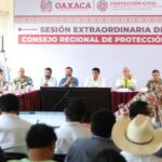 WhatsApp Image 2025-06-17 at 14.23.46