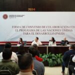 WhatsApp Image 2025-06-19 at 17.58.31