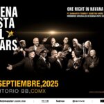 image_processing20250625-8-hcwhh4