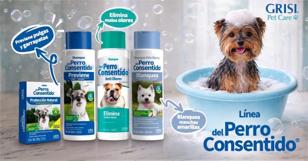 La guía Del Perro Consentido para bañar a tu lomito en 10 pasos