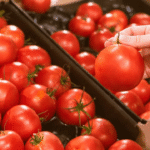 30a92dd6-8291-40c3-8421-a0d7433bf48b