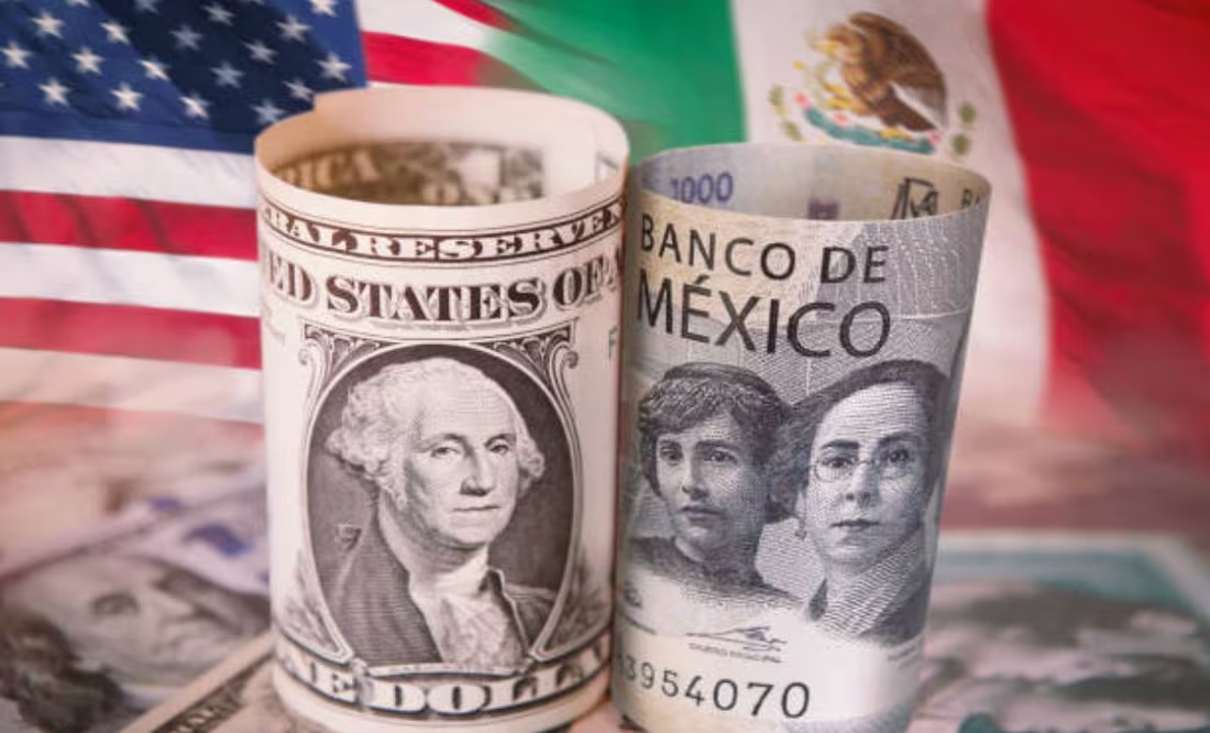 6518a088-20e5-4132-9bc0-67b97f0a03aa