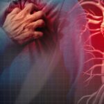 8ad51b6e-6619-4d40-99e8-fc3c4d76e5e5-1132×509