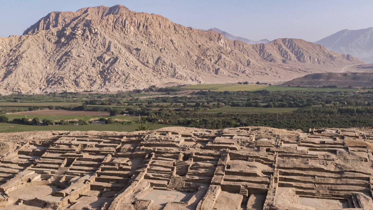 9f804abd-8967-446a-965e-d038c2b28c1f