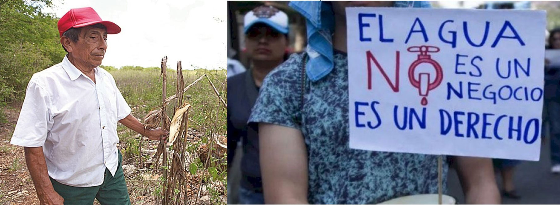 PHOTO-2025-07-28-16-27-52