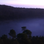 controlan_tala_ilegal_en_zona_de_topilejo