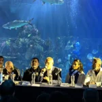 d61107_c33a9db6372f4bc08e1b75d8c83b0837~mv2