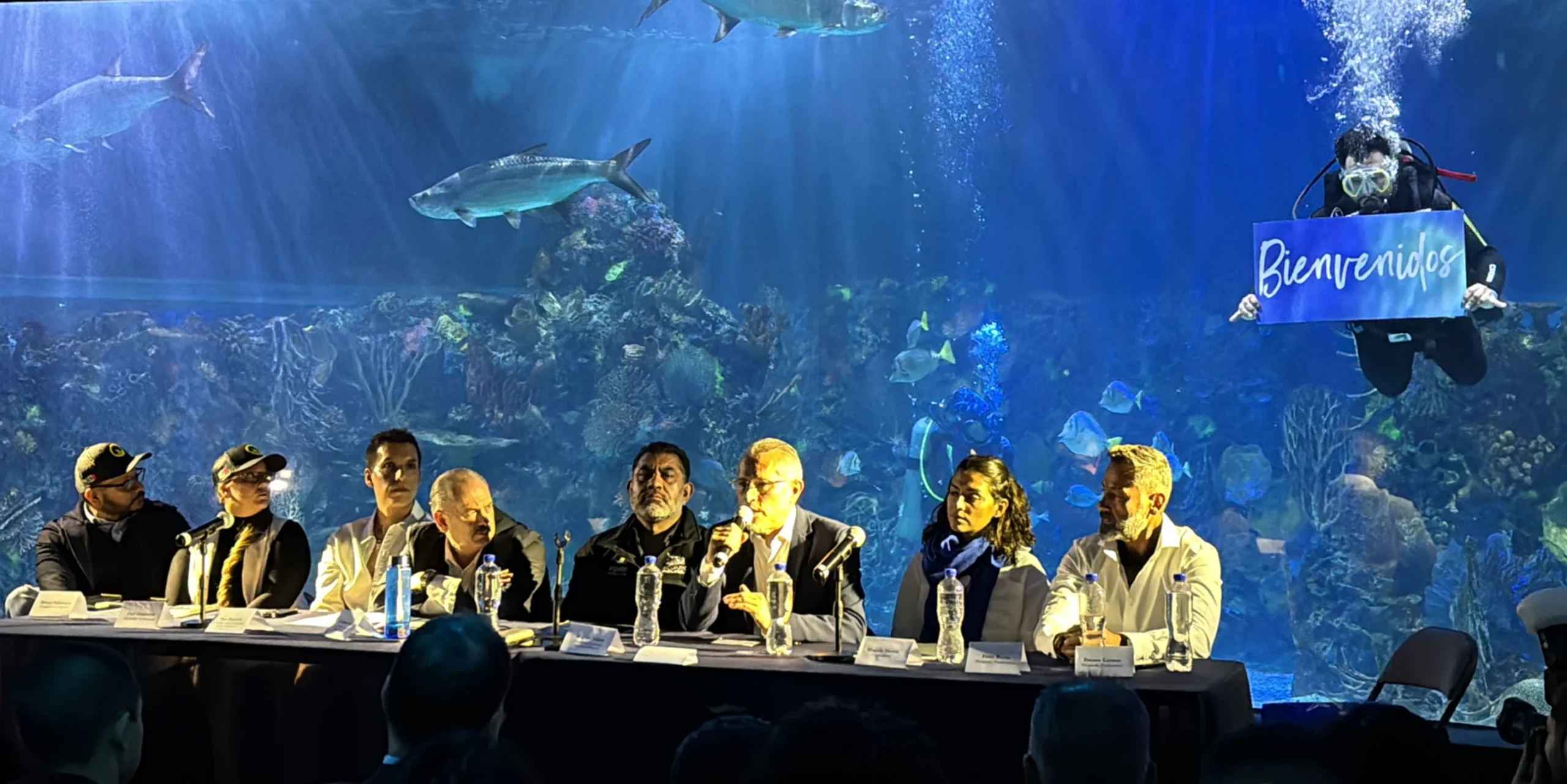 d61107_c33a9db6372f4bc08e1b75d8c83b0837~mv2