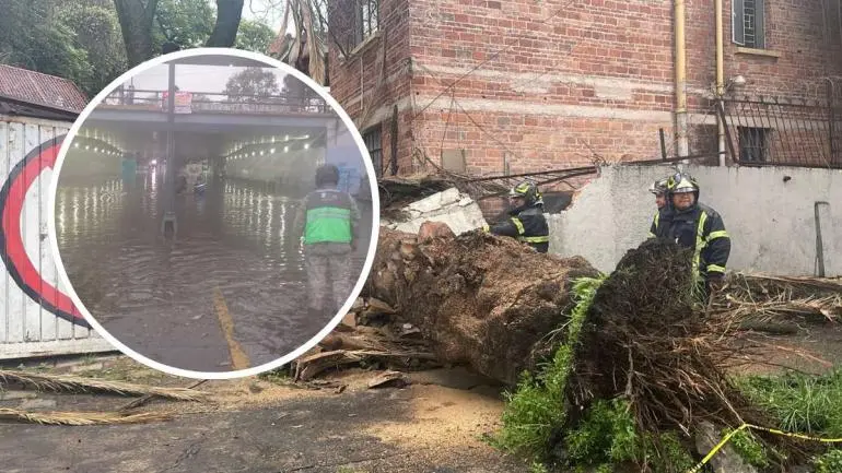 destrozos_lluvias_19_julio