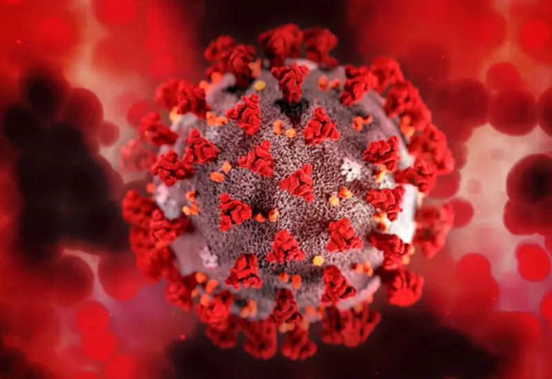 e5fffc75-31a6-4a52-85ab-538f31c55d3a