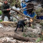 f768x400-119507_163410_5050