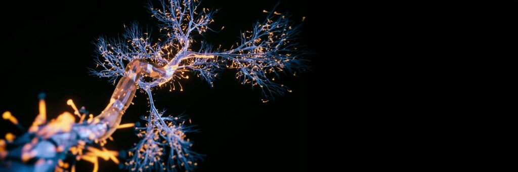 Avances en la investigación del glioblastoma