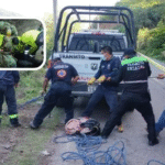 mueren_siete_personas_y_16_resultan_heridas_tras_caida_de_autobus_a_rio_en_guerrero