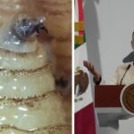 proyecto-nuevo-24-112605