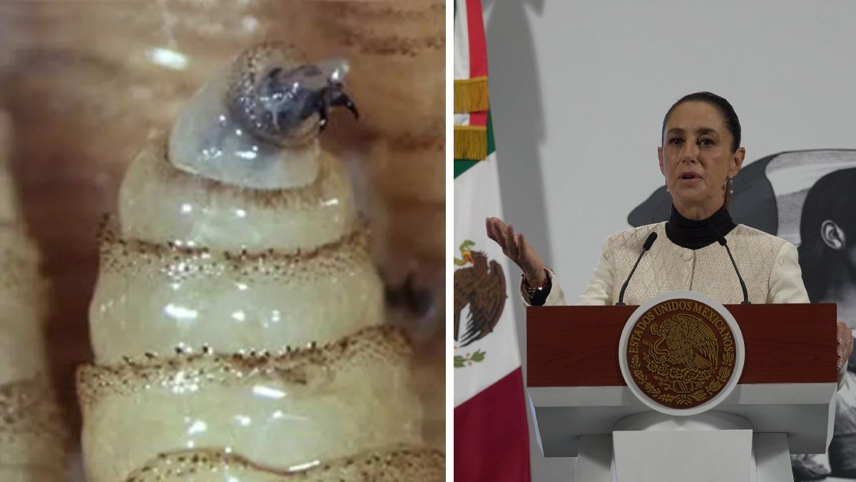 proyecto-nuevo-24-112605