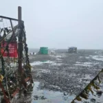 tvazteca.brightspotcdn