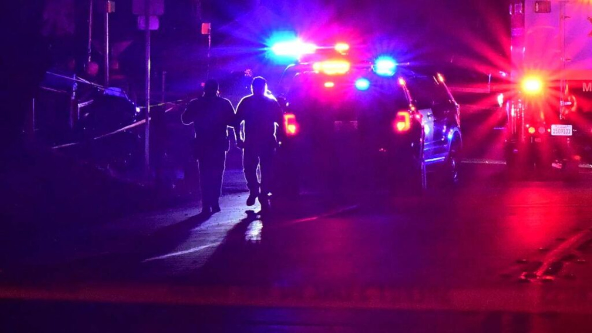 340ed757-5288-4cc2-905b-be9decec6de5