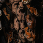 919323d0-ba23-4395-8070-7770dfbdb7f0