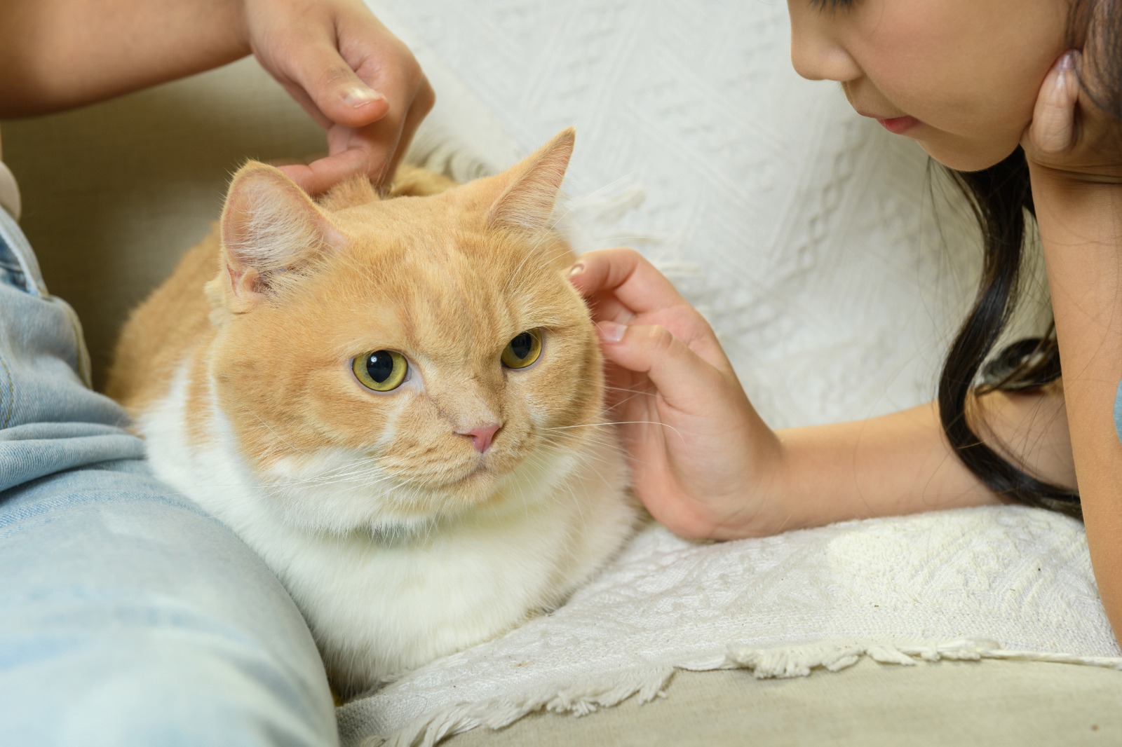 Imagen de WhatsApp 2025-08-11 a las 16.01.09_dc0fd0ba