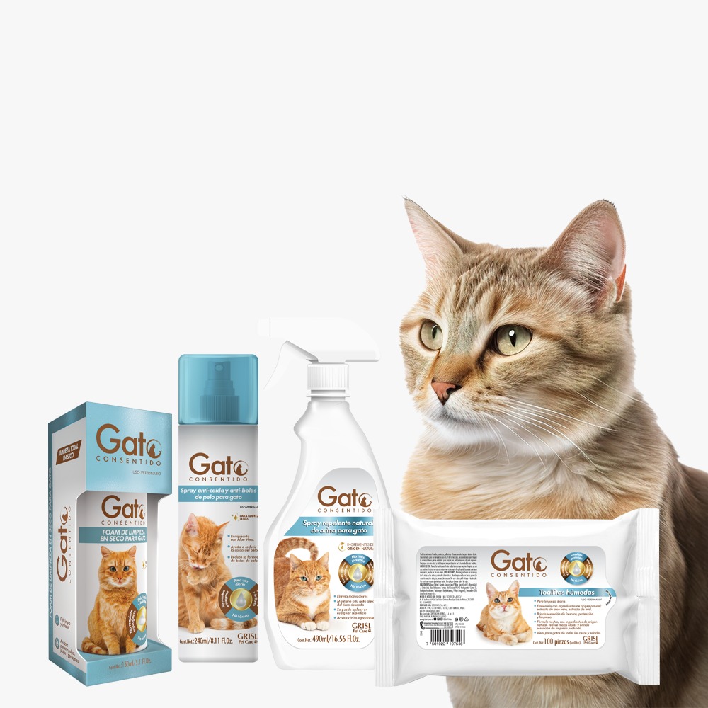 PHOTO-2025-08-01-13-42-06