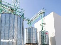 WhatsApp Image 2025-08-06 at 23.06.34