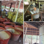 aseguran_en_chiapas_y_guerrero_2.5_toneladas_de_metanfetamina_y_4_toneladas_de_quimicos