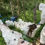 b21c4385-3a2d-4677-83db-495c7e1ce182