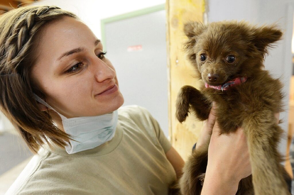 Más de 50 mil Médicos Veterinarios en México cuidan la salud animal y promueven el bienestar de las personas