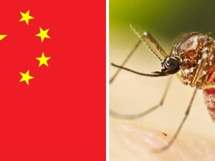 crop-w1080-h540-alessandra-29-09f916d7-focus-0-0-732-549