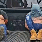 d2385ec2-c504-4f17-b90f-f2fdbaf3e96f