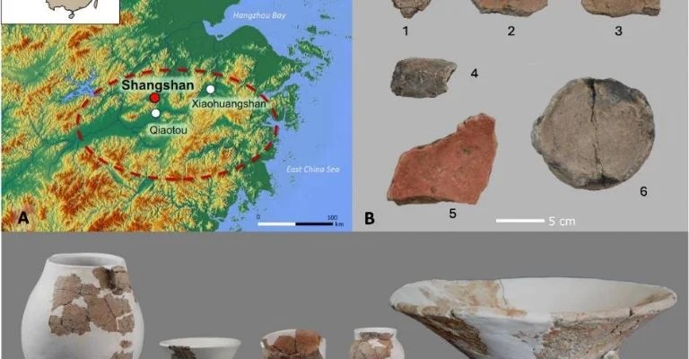 f768x400-121748_165651_5050