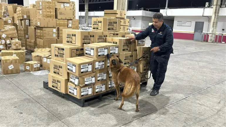 mexico-encabeza-pirateria-al