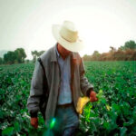 trabajador-de-campo