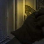 cae_celula_robos_de_casas_cdmx