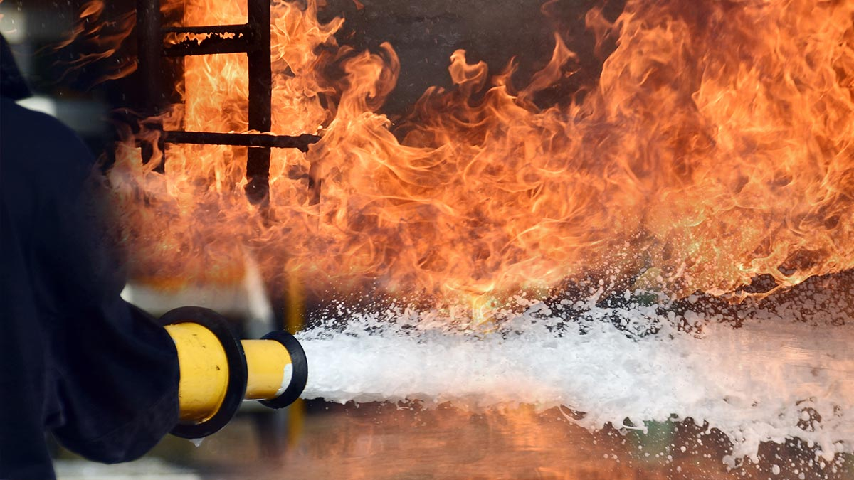 388eb80e-377b-4c3e-af54-d9559541f2e6