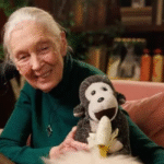Jane Goodall