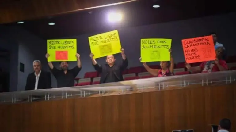 colectivos_y_ciudadanos_defensores_de_los_animales