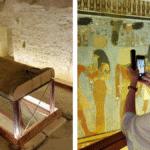 eeca448e-1a2f-461c-b61a-8c63a1cb9e9c