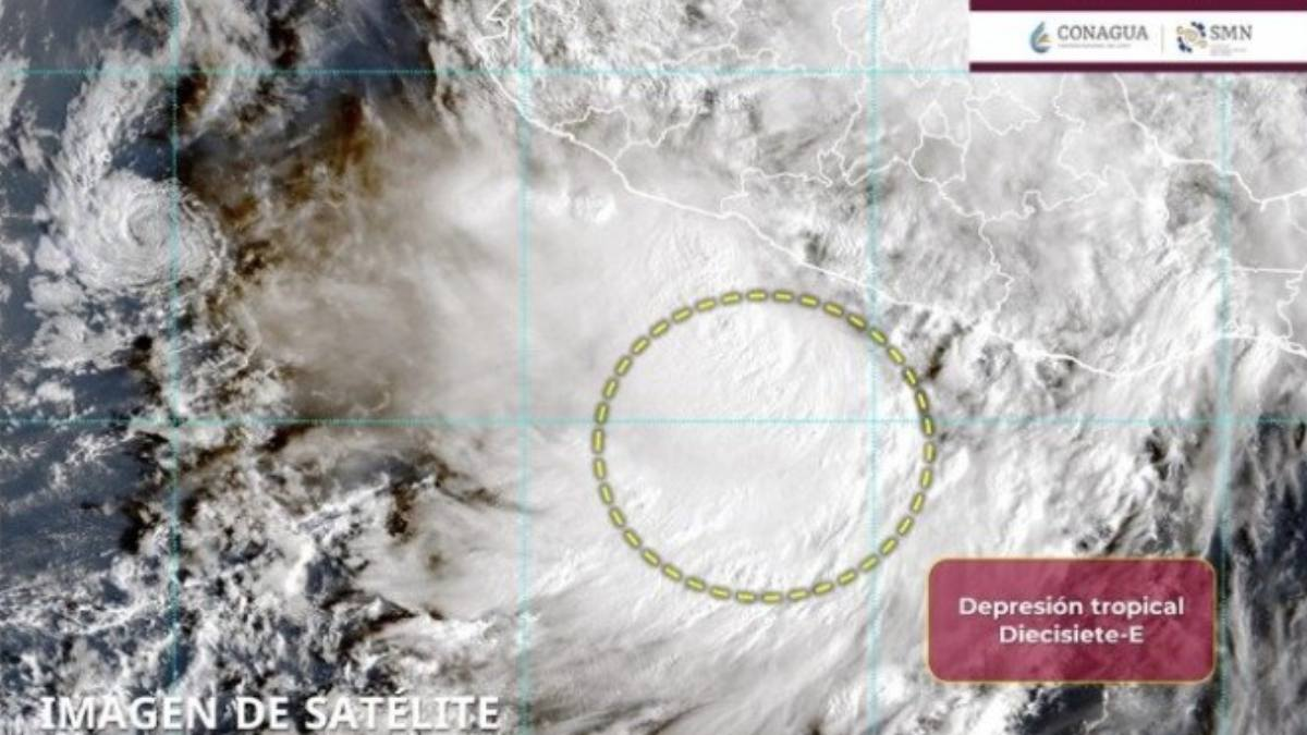 faf57874-2377-495c-9fe0-5cc13dd80134