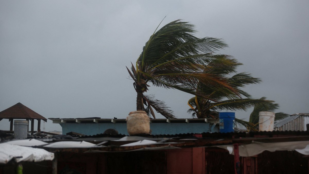 proyecto-nuevo-2-064622