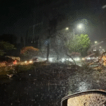 2a968e29-f6fb-4872-922e-9cc418151842 (1)