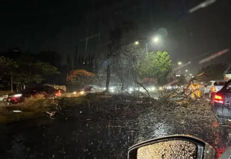 2a968e29-f6fb-4872-922e-9cc418151842 (1)