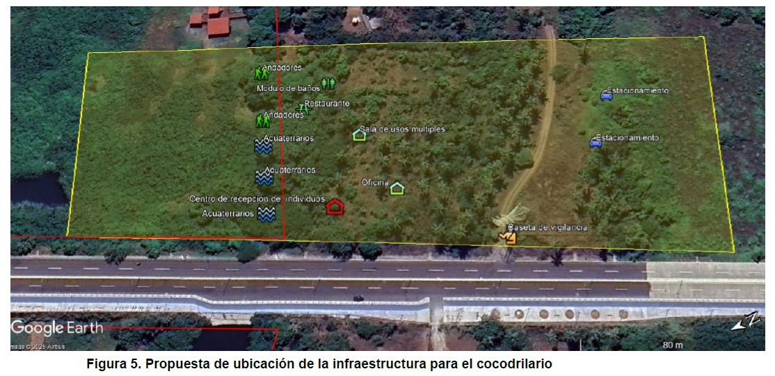 Presentan en la COP30 un modelo de convivencia entre humanos y cocodrilos para enfrentar el cambio climático en Michoacán
