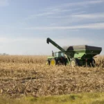 transportador-del-maíz-1457144