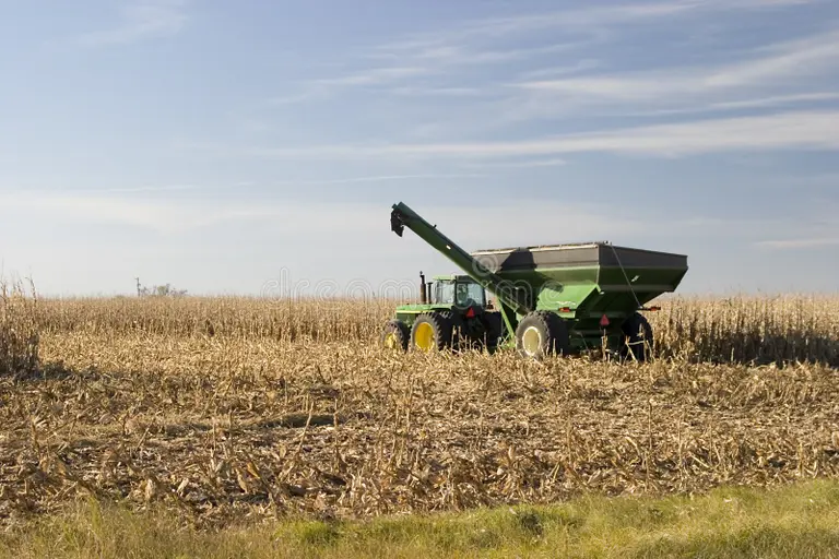 transportador-del-maíz-1457144