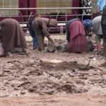 900899a1-164a-4f52-98b2-98e98647d13f